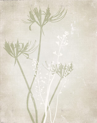 Image Not Available